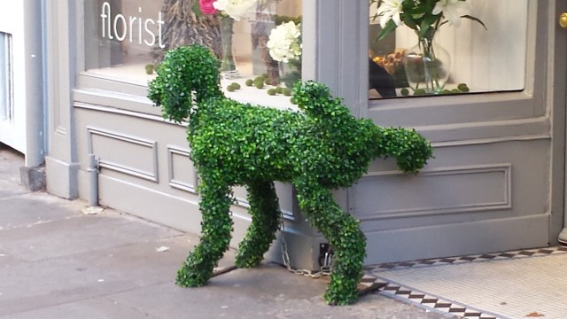 Taking topiary to its limits