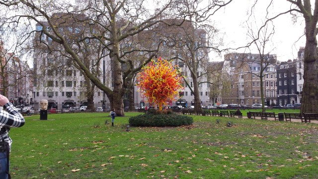 A beautiful Tree in Berkeley Square.