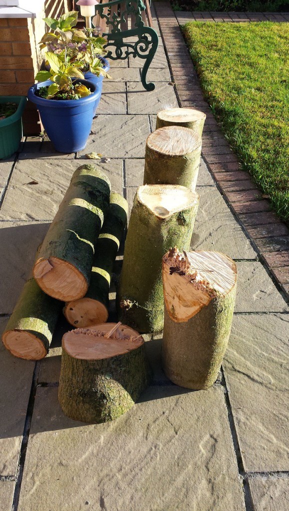 A boot full of billets